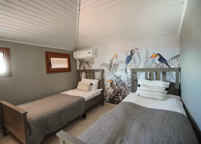 Alp Mandalin * אקיאקה