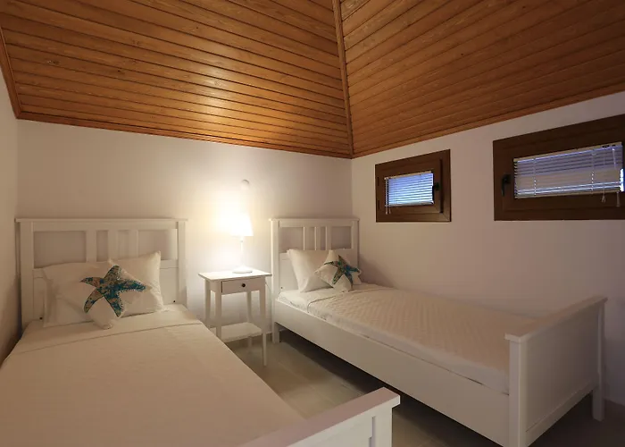 Alp Mandalin אקיאקה